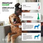 Frontline Combo Spot On Pipetas Antiparasitárias para cães 2 -10 kg, , large image number null